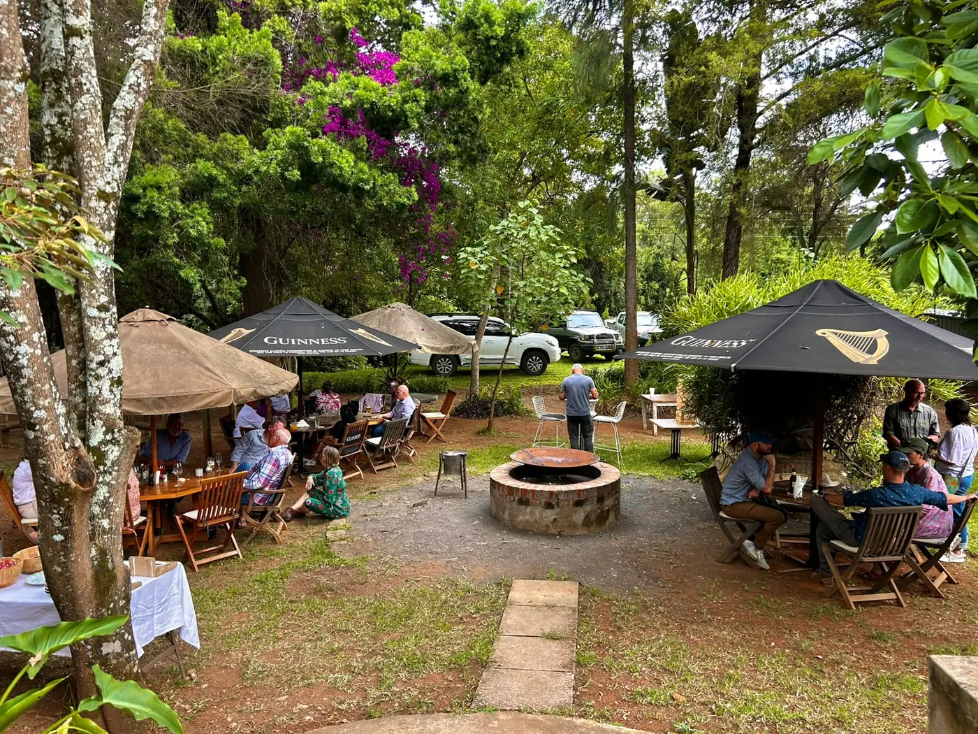Outdoor gathering space surrounded by greenery